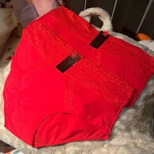 Plus Size Red Lace Panties ( 2 pairs )
